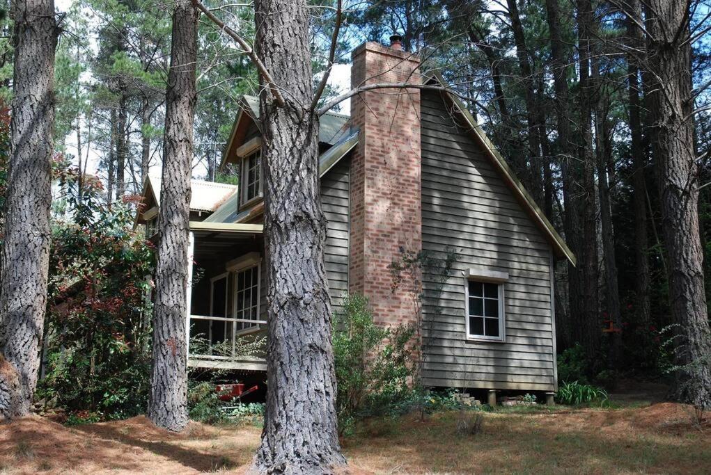 Holly Lodge Medlow Bath Exterior foto